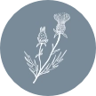 logomark_circle